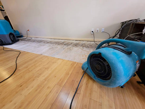 Professional Sewage Cleanup technician working in Ashton, ID